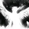 hasn.soul