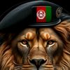 hamza.khaksar61tiktok.co