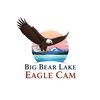 bigbearlakeeagle