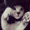 caa_caaaj