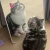 babicutethichueh