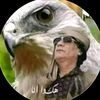 user56654861879757