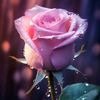 aposhad66