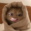 mokiiieeyythecatt