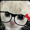http.qna