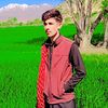 user8151721827160