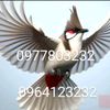 user92996294797470