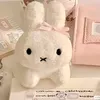 poopytidevr