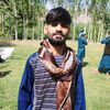 afghan.king8386