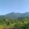 febrianpratama153