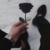 user61335068080517