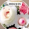 user43613168152484
