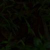 secretdoor24