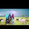 ibraahiim594