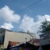 alisia_12338