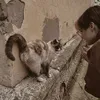 zi_14.5