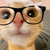 allyssaloraineara