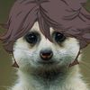 _oiikawas