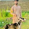 awaisalikhokhar78
