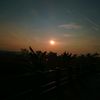 hanum_307
