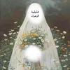 deemah.sa