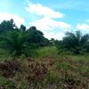 madankulisawit