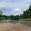 wongboro3