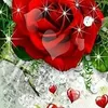 user37983400628047
