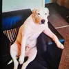 beautifulsnoopy1