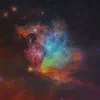 chiefbrm