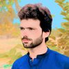 naeem.dasti1