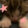 meethel_1