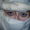 afghansah2