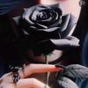 ムジャミル
