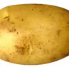 peruuna100