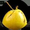 coconutasmr2