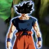 goku685132
