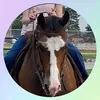 jc.horses1