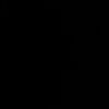 reyhanerahimi861