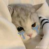 keci_imuopp