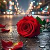 user758213188211