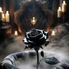 malik.g52763