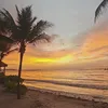 myavspamx
