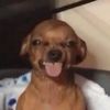 kinsleyspamacc3