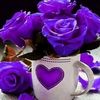 zamzam.maxamed.11