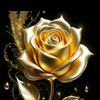 user21884999490114