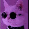 user563613304382