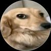 darlizzdazz4me