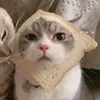 jo.jnior2