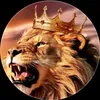 user13100432657233